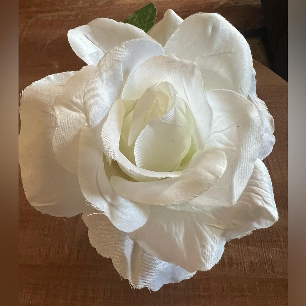 Huge white rose in clear glass vase unbranded